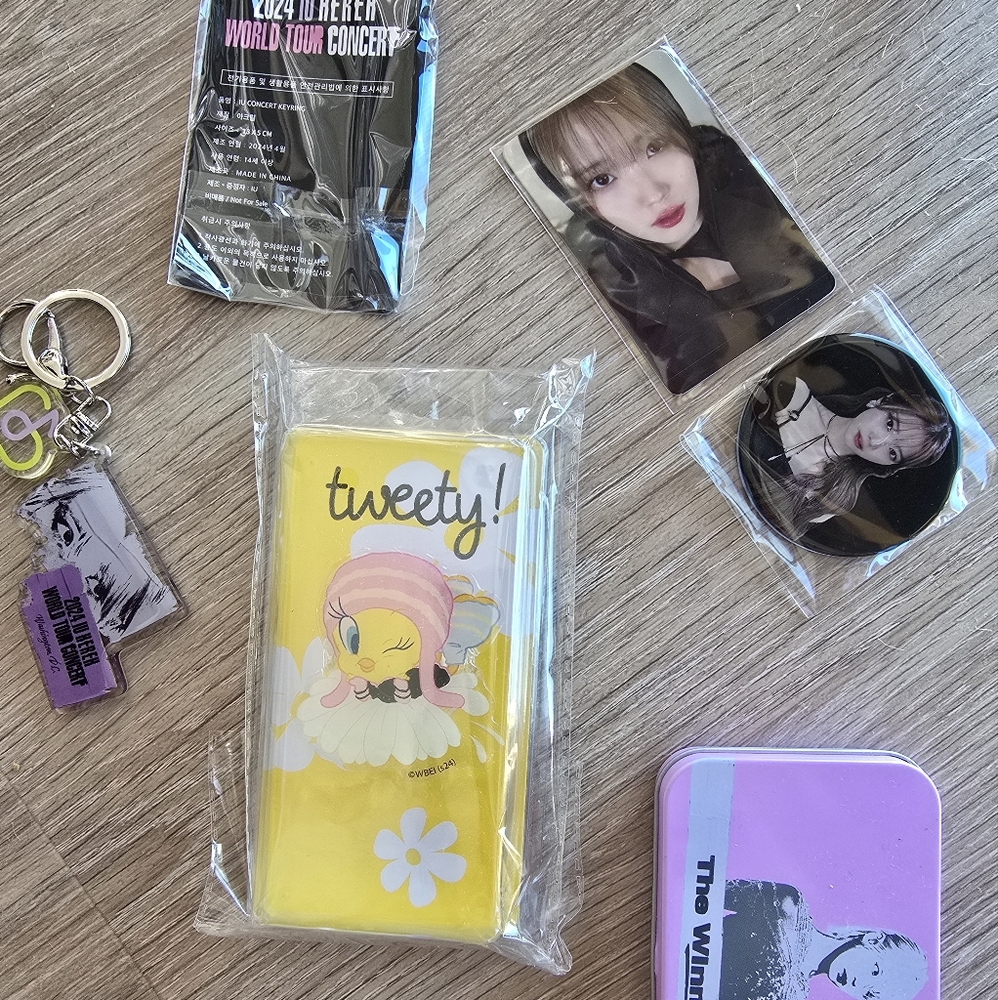 IU kpop 2024 HERER world tour concert merch